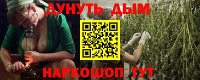 шишки Абинск